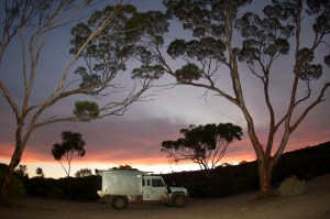 Sunset in the Woodlands