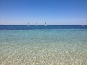 Sailboats at Shoalwater